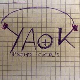 YA+K promo 12 Catalis